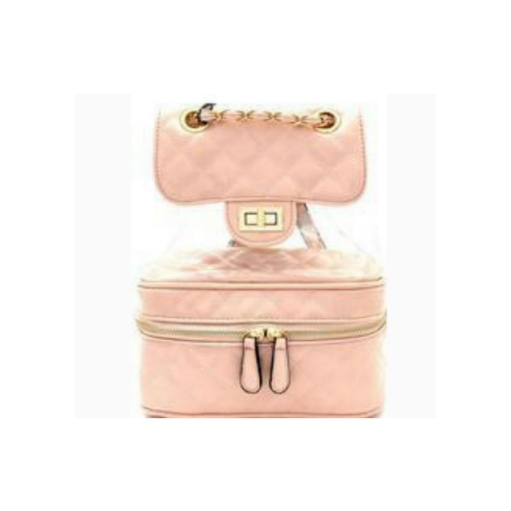 Back pack Purse